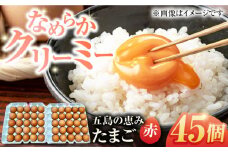 【箱入り】五島の恵みたまご M〜Lサイズ 45個入 / 卵 赤玉子 五島市 / 五島列島大石養鶏場 [PFQ038] 玉子 タマゴ 鶏卵 希少 五島列島