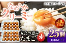 【10回定期便】【箱入り】五島の恵みたまご M〜Lサイズ 25個入 / 卵 赤玉子 五島市 / 五島列島大石養鶏場 [PFQ047] 玉子 タマゴ 鶏卵 希少 五島列島
