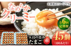 【全6回定期便】【箱入り】五島の恵みたまご M〜Lサイズ 45個入 / 卵 赤玉子 五島市 / 五島列島大石養鶏場 [PFQ049] 玉子 タマゴ 鶏卵 希少 五島列島