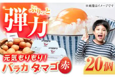 【ギフトBOX】バラカタマゴ 20個入 M～Lサイズ 卵 玉子 国産 五島市 / 五島列島大石養鶏場 [PFQ051] 玉子 タマゴ 鶏卵 希少 五島列島