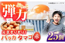 【箱入り】バラカタマゴ 25個入 M～Lサイズ 卵 玉子 たまご 国産 五島市 / 五島列島大石養鶏場 [PFQ052] 玉子 タマゴ 鶏卵 希少 五島列島