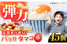 【箱入り】バラカタマゴ 45個入 M～Lサイズ 卵 玉子 たまご 国産 五島市 / 五島列島大石養鶏場 [PFQ053] 玉子 タマゴ 鶏卵 希少 五島列島