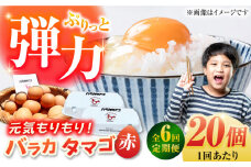【全6回定期便】【ギフトBOX】バラカタマゴ 20個入 M～Lサイズ 卵 玉子 国産 五島市 / 五島列島大石養鶏場 [PFQ055] 玉子 タマゴ 鶏卵 希少 五島列島
