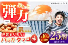 【全10回定期便】【箱入り】バラカタマゴ 25個入 M～Lサイズ 卵 玉子 たまご 国産 五島市 / 五島列島大石養鶏場 [PFQ059] 玉子 タマゴ 鶏卵 希少 五島列島