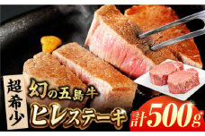 五島牛ヒレ 250g×2枚 五島市/ごとう農業協同組合 [PAF032] 牛肉 国産 希少 ヒレ ヒレステーキ ステーキ 牛肉 国産 国産牛