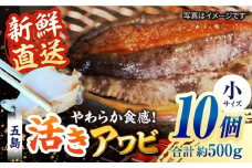 【日付指定必須】【配送エリア限定】五島産養殖活きアワビ 10個セット 約500g BBQ あわび 鮑 五島市/（有）都工業 [PEX003]