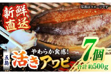 【日付指定必須】【配送エリア限定】五島産養殖活きアワビ 7個セット 約500g あわび 鮑 五島市/（有）都工業 [PEX004]