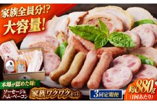 【全3回定期便】家族ワクワクセット ウインナー ベーコン ソーセージ ギフト Gris Hause NAGASE / 五島市 [PGF026] ソーセージ 詰合せ 詰め合わせ セット ウィンナー 肉 豚 五島 五島列島 五島美豚 ハム