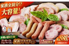 【全12回定期便】家族ワクワクセット ウインナー ベーコン ソーセージ ギフト Gris Hause NAGASE / 五島市 [PGF028] ソーセージ 詰合せ 詰め合わせ セット ウィンナー 肉 豚 五島 五島列島 五島美豚 ハム