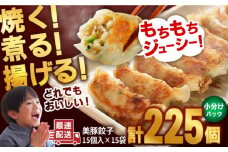 美豚餃子15個入×15袋 五島市/長崎フードサービス [PEL055]