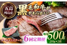 【全6回定期便】五島列島産 黒毛和牛 サーロインステーキ 250g×2枚 五島市/山口Farm [PGJ019]