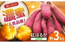 【10月先行予約】島の元気なさつまいも!ねっとり甘い『紅はるか』3kg 五島市/あわたに農園 [PGO001]