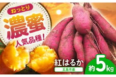 【10月先行予約】島の元気なさつまいも!ねっとり甘い『紅はるか』5kg 五島市/あわたに農園 [PGO002]