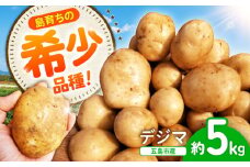 【12月先行予約】島の元気なじゃがいも!旨味抜群の『デジマ』5kg 五島市/あわたに農園 [PGO004]