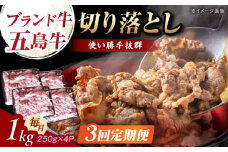 【3回定期便】五島牛 切り落とし 1kg 五島市/五島牛 肉のむらおか [PGP010]