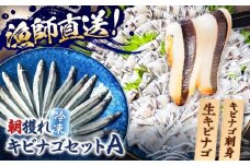 【漁師直送】きびなごセットA（キビナゴのお刺身＆生キビナゴ） 五島市/Sun Sea Go Company [PGL005]