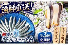 【全3回定期便】きびなごセットA（キビナゴのお刺身＆生キビナゴ） 五島市/Sun Sea Go Company [PGL006]