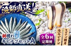 【全6回定期便】きびなごセットA（キビナゴのお刺身＆生キビナゴ） 五島市/Sun Sea Go Company [PGL007]
