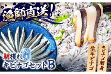 【漁師直送】きびなごセットB（キビナゴのお刺身＆生キビナゴ） 五島市/Sun Sea Go Company [PGL009]