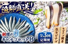 【全3回定期便】きびなごセットB（キビナゴのお刺身＆生キビナゴ） 五島市/Sun Sea Go Company [PGL010]