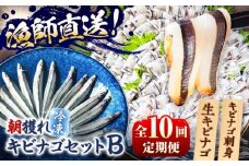 【全10回定期便】きびなごセットB（キビナゴのお刺身＆生キビナゴ） 五島市/Sun Sea Go Company [PGL012]