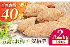 こばさんちの安納芋Lサイズ2kg 五島市/五島こばさんち農園 [PGW001]