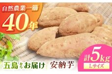 こばさんちの安納芋Lサイズ5kg 五島市/五島こばさんち農園 [PGW002]