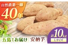 こばさんちの安納芋Lサイズ10kg 五島市/五島こばさんち農園 [PGW003]