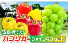 シャインマスカットとパプリカ 五島市/HPIファーム ブドウ ぶどう 野菜 果物 [PCP015]