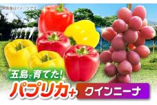 クインニーナとパプリカ 五島市/HPIファーム ブドウ ぶどう 野菜 果物 [PCP016]
