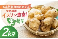 生キクイモ（菊芋）2kg 五島市/五島列島自然のめぐみ [PGM005]