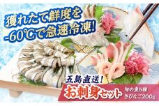 超速冷凍鮮魚5種ときびなごセット 五島市/金沢鮮魚 魚 キビナゴ 鮮魚 鮮魚ボックス [PEP064]
