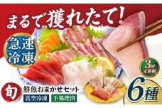 【全3回定期便】超速冷凍鮮魚6種（5種+焼物用1種） 五島市/金沢鮮魚 魚  鮮魚 鮮魚ボックス [PEP065]