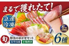 【全6回定期便】超速冷凍鮮魚6種（5種+焼物用1種）五島市/金沢鮮魚 魚  鮮魚 鮮魚ボックス [PEP066]