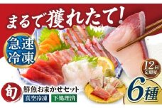 【全12回定期便】超速冷凍鮮魚6種（5種+焼物用1種） 五島市/金沢鮮魚 魚  鮮魚 鮮魚ボックス [PEP067]