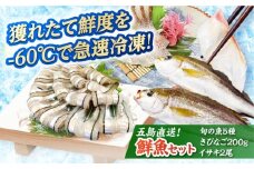超速冷凍鮮魚7種（鮮魚5種+冷凍きびなご200g+焼物用いさき2尾）五島市/金沢鮮魚 [PEP068]