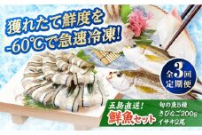 【全3回定期便】超速冷凍鮮魚7種（鮮魚5種+冷凍きびなご200g+焼物用いさき2尾）五島市/金沢鮮魚 [PEP069]