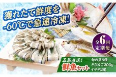 【全6回定期便】超速冷凍鮮魚7種（鮮魚5種+冷凍きびなご200g+焼物用いさき2尾）五島市/金沢鮮魚 [PEP070]