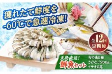 【全12回定期便】超速冷凍鮮魚7種（鮮魚5種+冷凍きびなご200g+焼物用いさき2尾）五島市/金沢鮮魚 [PEP071]