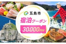 長崎県五島市 旅行クーポン30,000円分 五島市/JTA株式会社 鬼岳 星空 海 家族 旅行 観光 [PGN001]