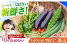 旬野菜セット7～10品目（五島列島産）5kg未満  五島市/やぁしゃ便 [PBG010]