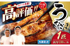 うなぎ 国産 冷蔵 1尾 ＜入口屋＞[CCA001] 長崎 西海 うなぎ 鰻 ウナギ 鰻の蒲焼 冷蔵 うなぎ 国産 お取り寄せ鰻 うなぎ 土用の丑の日 お中元