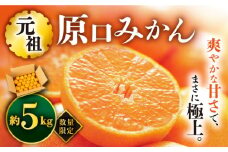みかん 【☆先行予約☆】『元祖』 原口みかん 約 5kg  長崎 西海 みかん ミカン 蜜柑 原口みかん 西海みかん 贈答 ギフト みかん ＜原口果樹園＞ [CCW001]