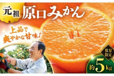 みかん 【先行予約】『元祖』 原口みかん 約5kg みかん ＜原口果樹園＞ [CCW001] ミカン 蜜柑 原口みかん 西海みかん 贈答 ギフト 長崎県産 みかん  西海