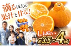 みかん デコポン 【3月より順次発送】 不知火 （ しらぬい ）約3.5～4kg＜川添みかん園＞ [CCT009]  長崎 西海 みかん ミカン 柑橘 でこぽん 不知火 デコポン 贈答 ギフト 