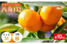 みかん 【11月上旬より順次発送】【 訳あり 】西海１号（ 温州みかん ） 約10kg （優品/Mサイズ）＜西海柑橘農業協同組合＞[CCF001] 長崎 西海 みかん ミカン 蜜柑 みかん 訳あり 10kg 年内配送 年内