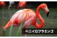 長崎県 動物園 バイオパーク