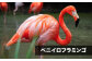 長崎県 動物園 バイオパーク