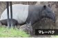長崎県 動物園 バイオパーク
