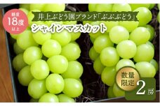 【先行予約☆厳選ブランド】「 ぶぶぶどう 」 シャインマスカット 約1～1.5kg（２房）＜井上ぶどう園＞［CCE006］